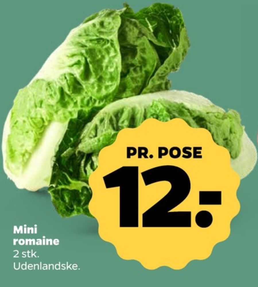 Romainesalat