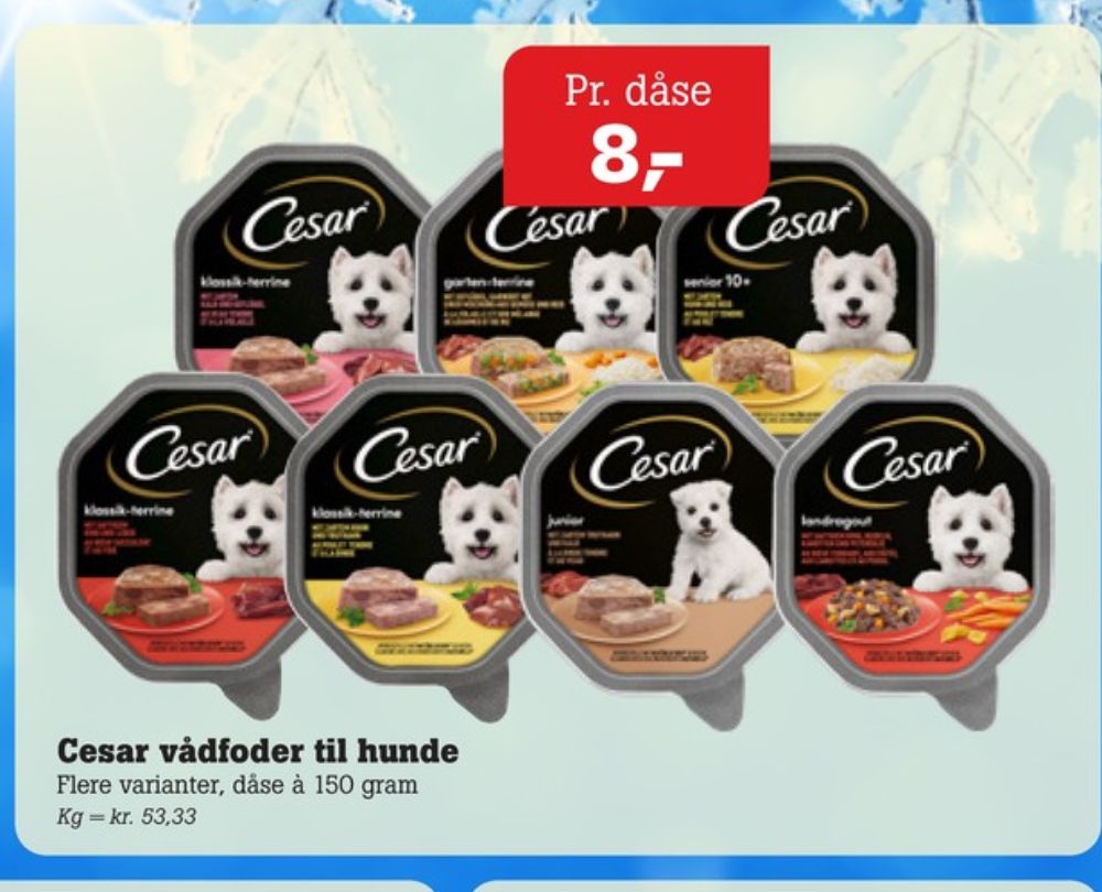 Cesar, Hundefoder