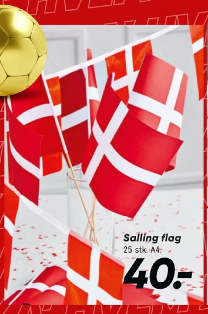 Salling, Flag