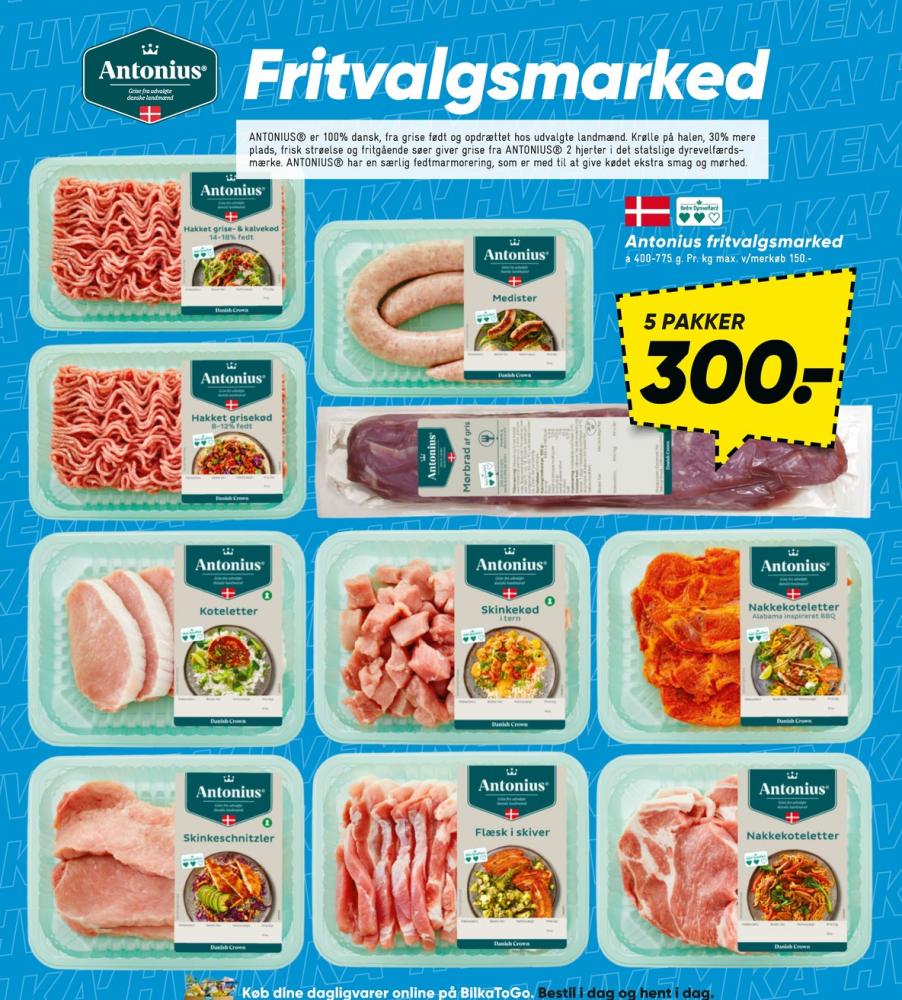 Antonius, Skinketern