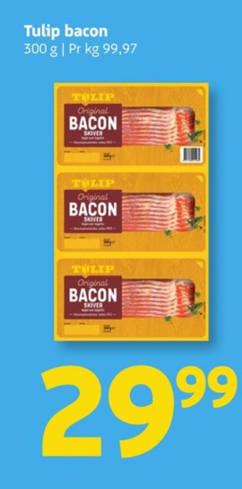 Tulip, Baconskiver
