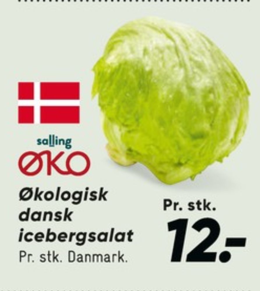 Salling ØKO, Icebergsalat
