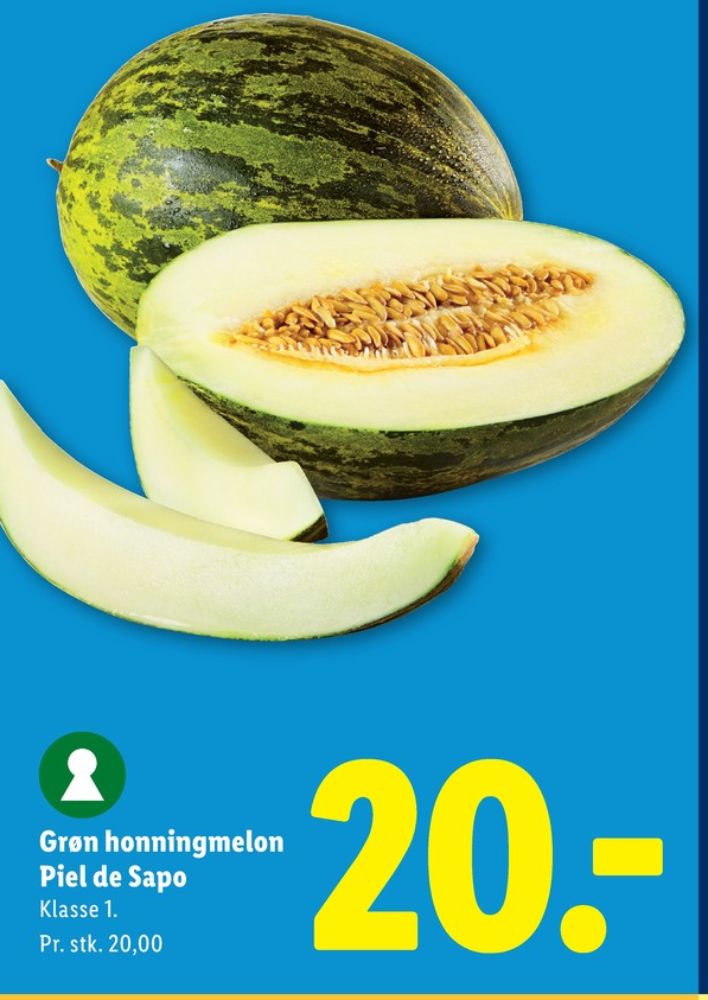 Piel De Sapo melon