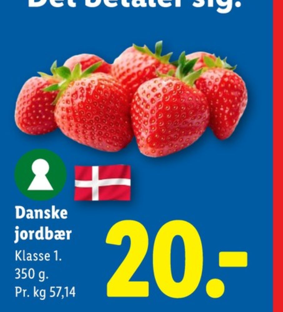 Jordbær
