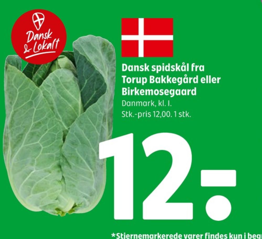 Birkemosegaard, Spidskål