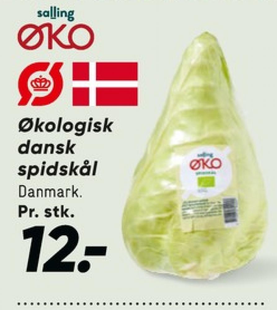 Salling ØKO, Spidskål