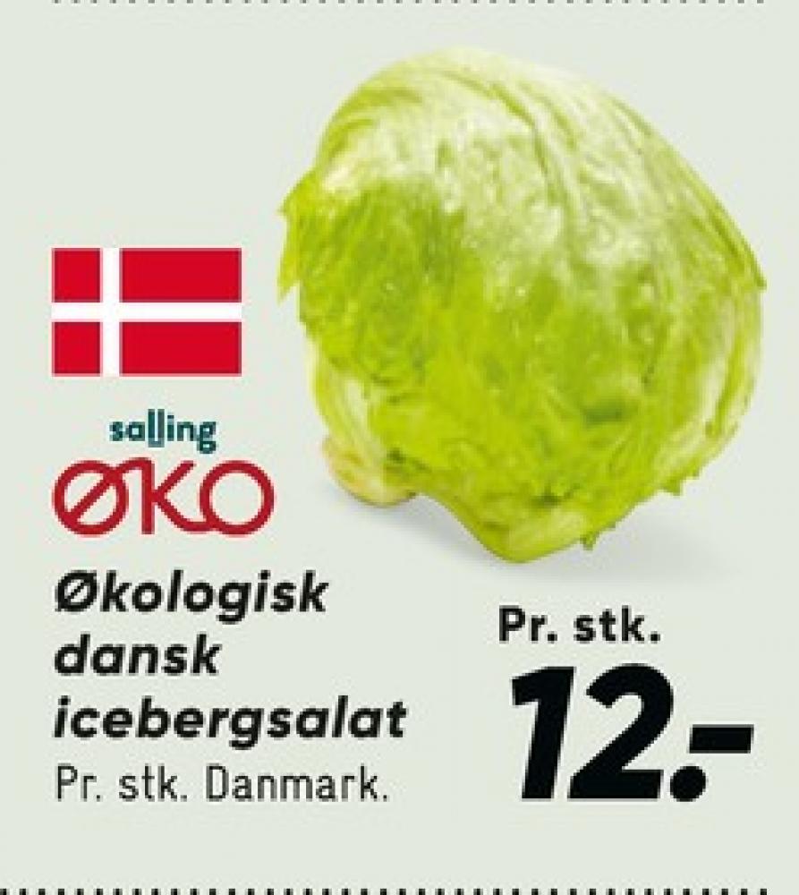 Salling ØKO, Icebergsalat