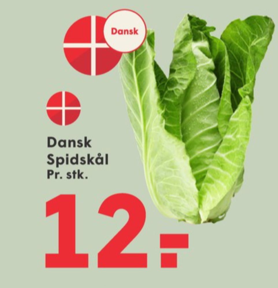 Spidskål