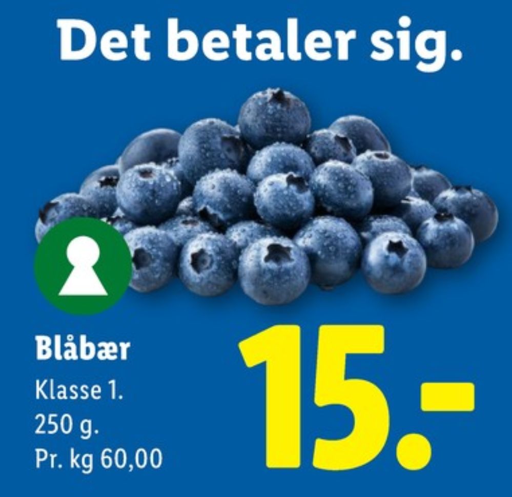 Blåbær