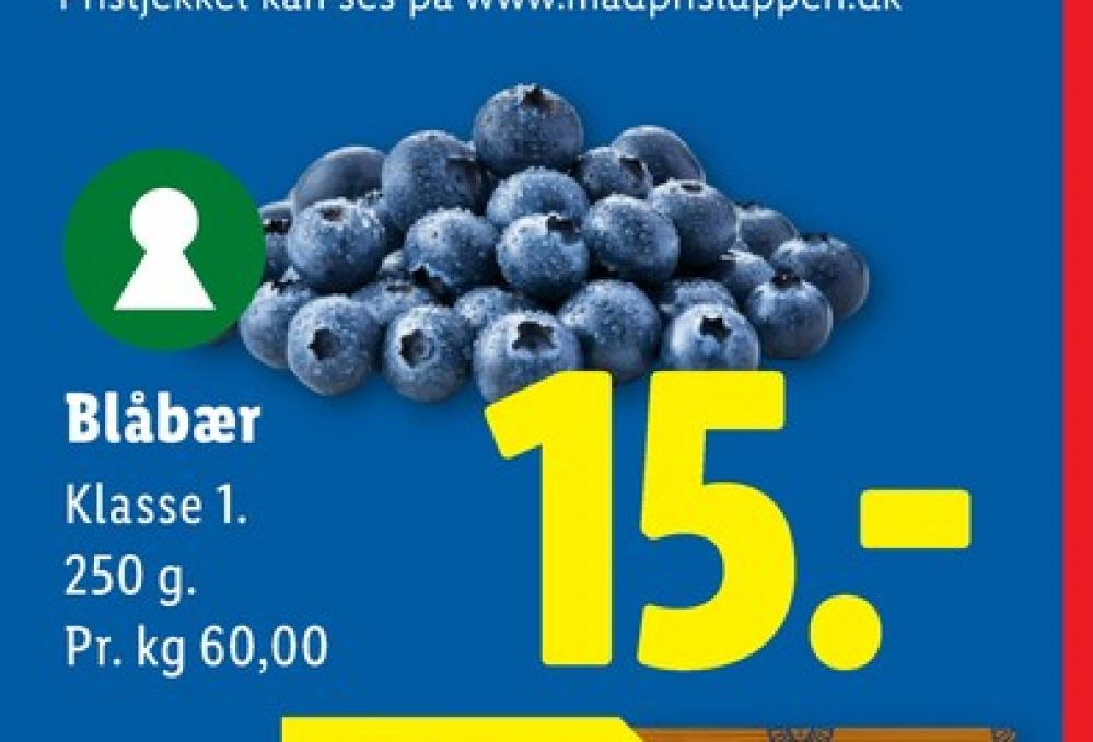 Blåbær