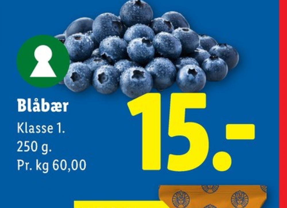 Blåbær
