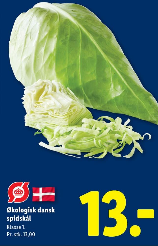 Spidskål