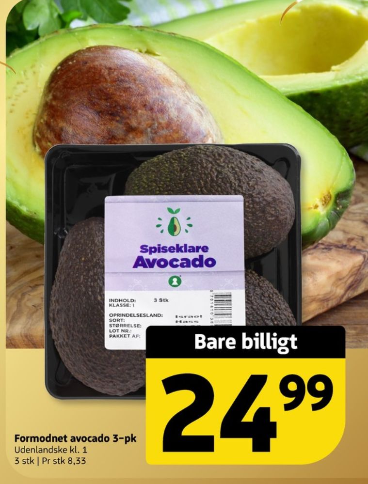 Avocado