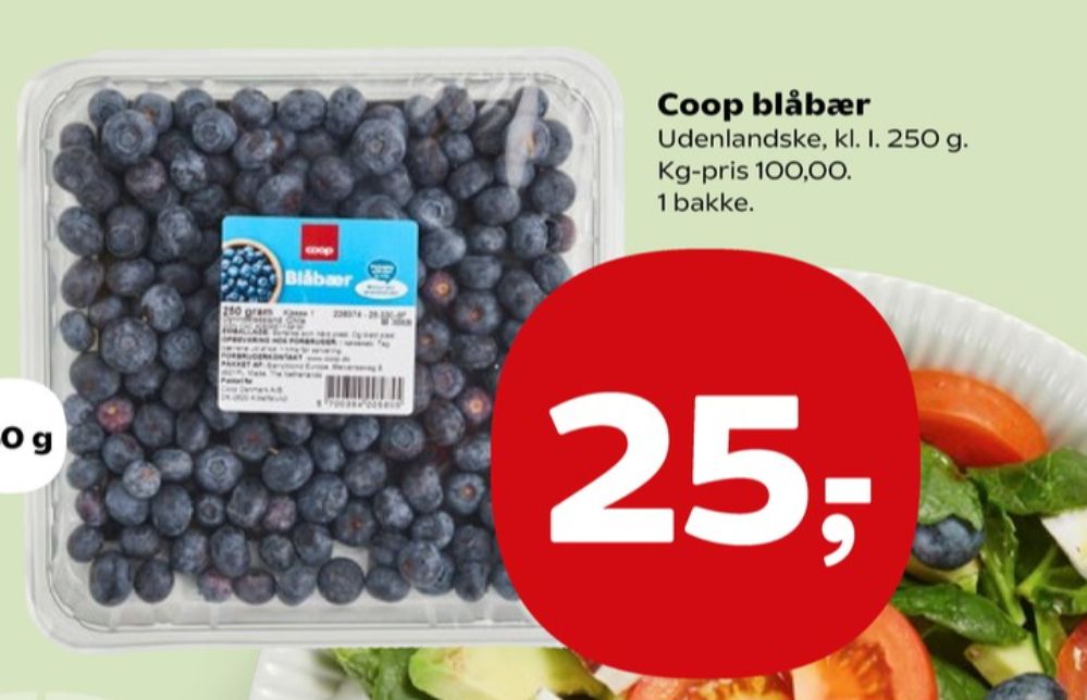 Coop, Blåbær
