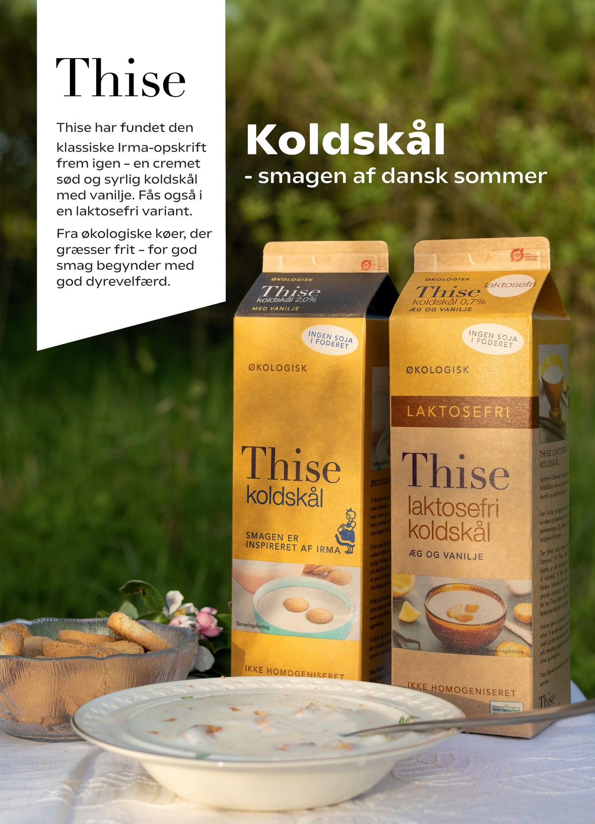 Catalogue page 20