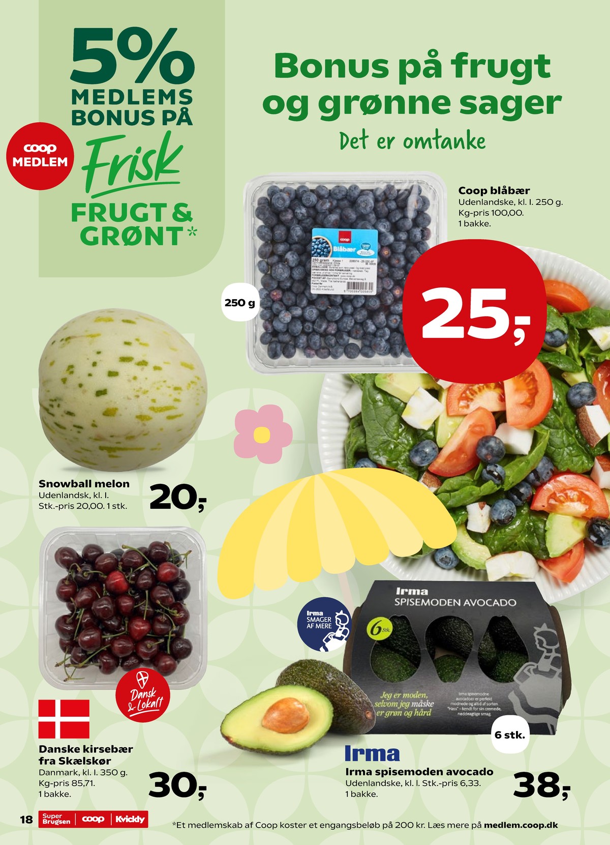 Catalogue page 21