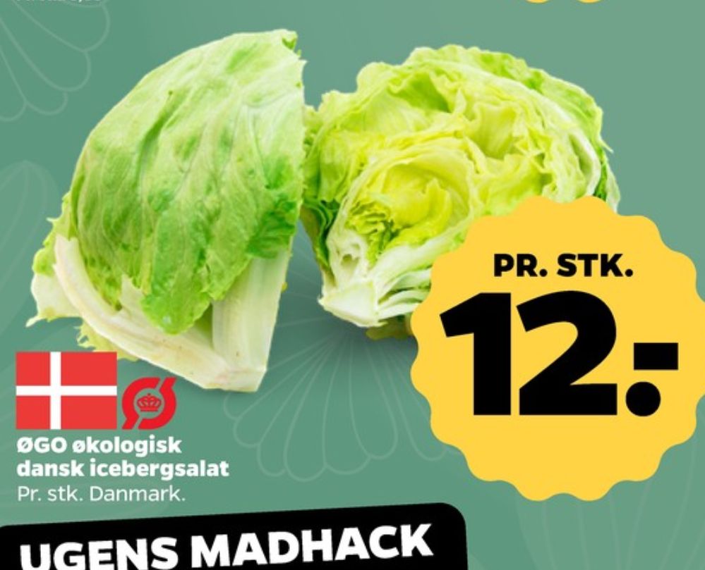 ØGO, Icebergsalat