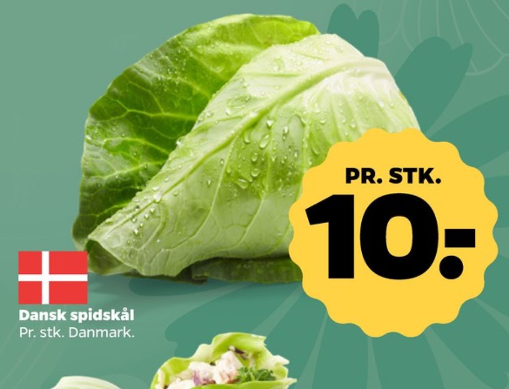 Spidskål