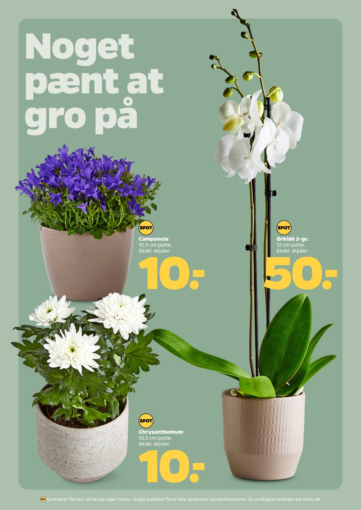 Catalogue page 26