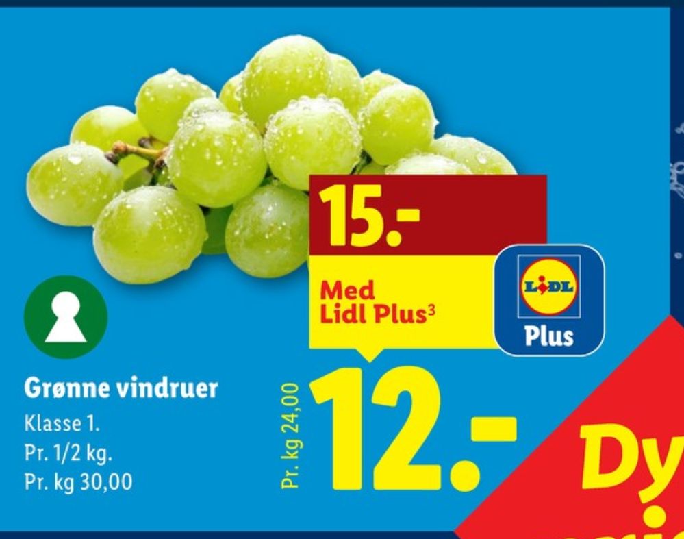 Vindruer