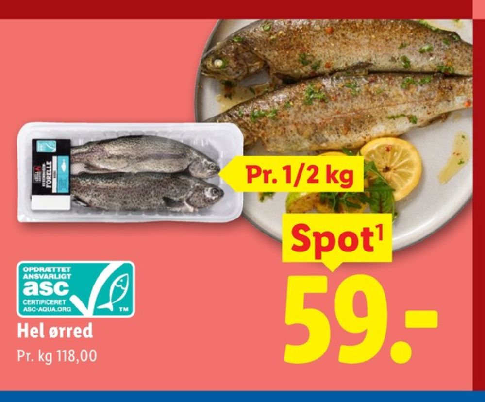 Havblå, Ørred