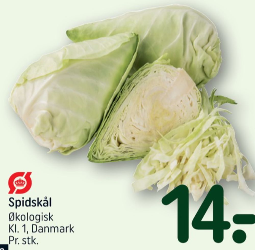 Spidskål