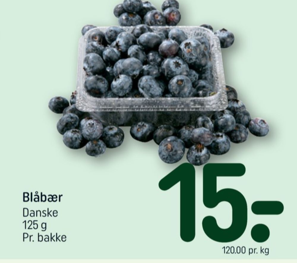 Blåbær
