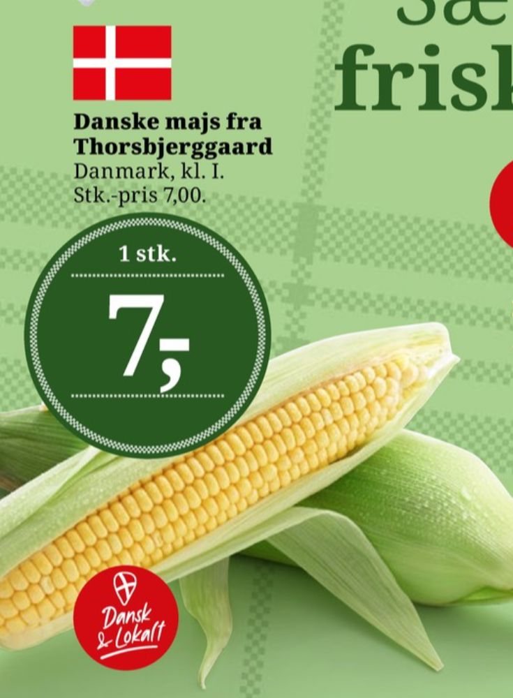 Majskolbe