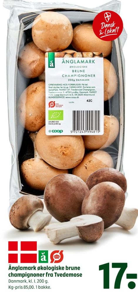 Änglamark, Champignon