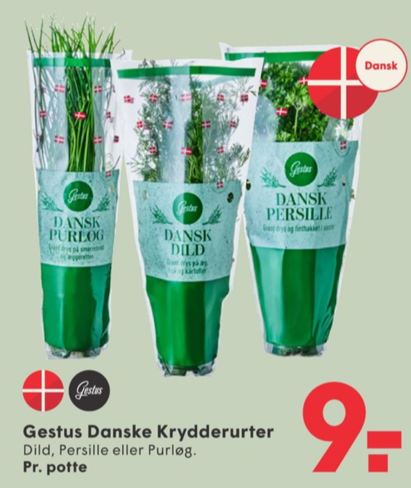 Gestus, Krydderurter