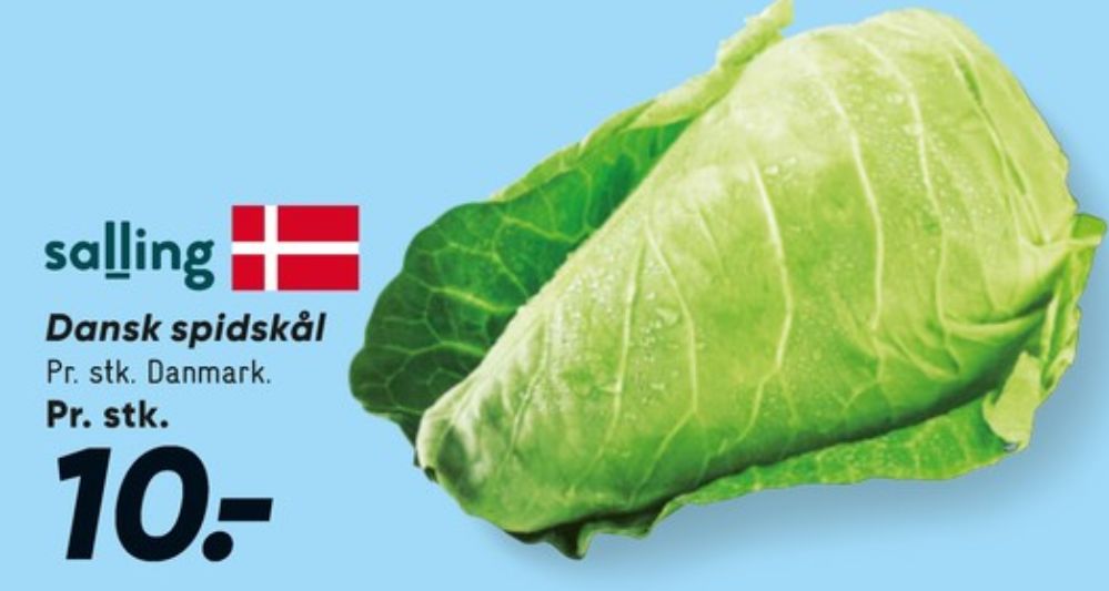 Salling, Spidskål