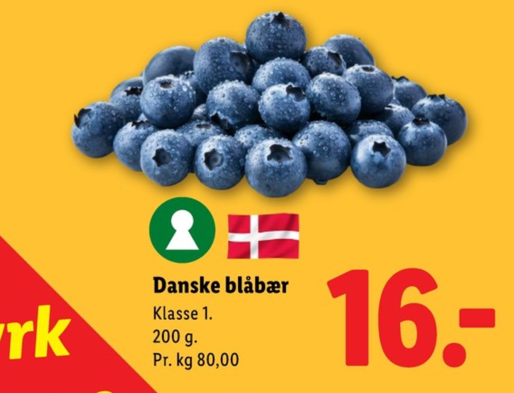 Blåbær