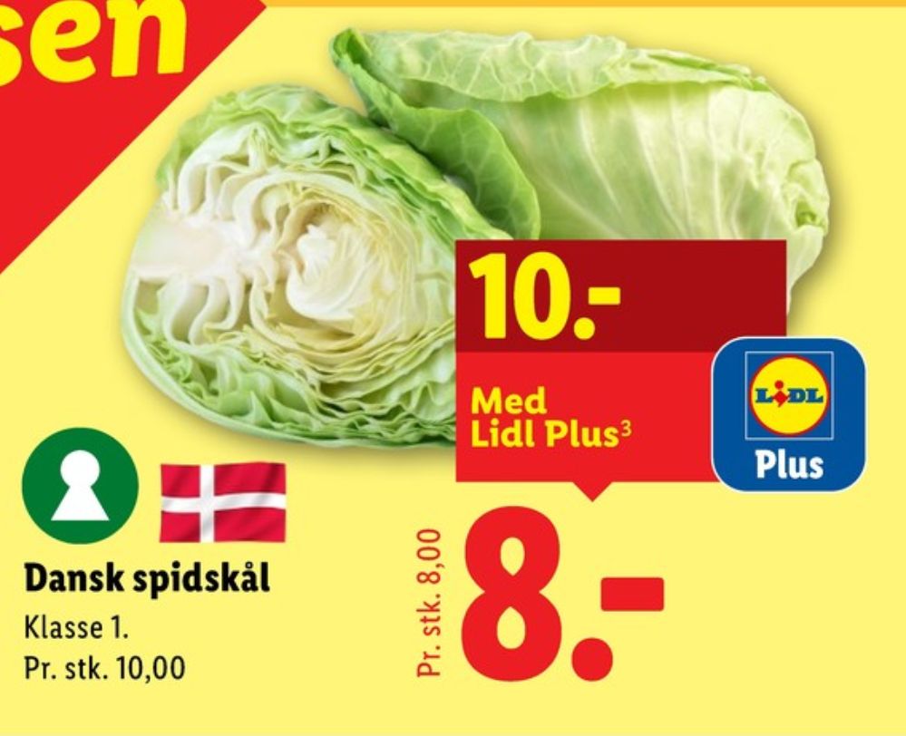 Spidskål