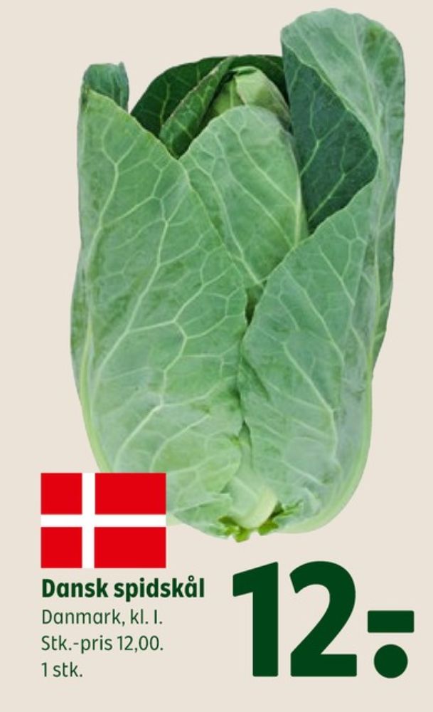 Spidskål