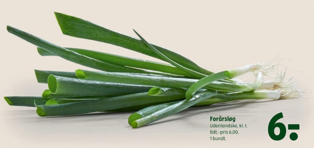 Forårsløg