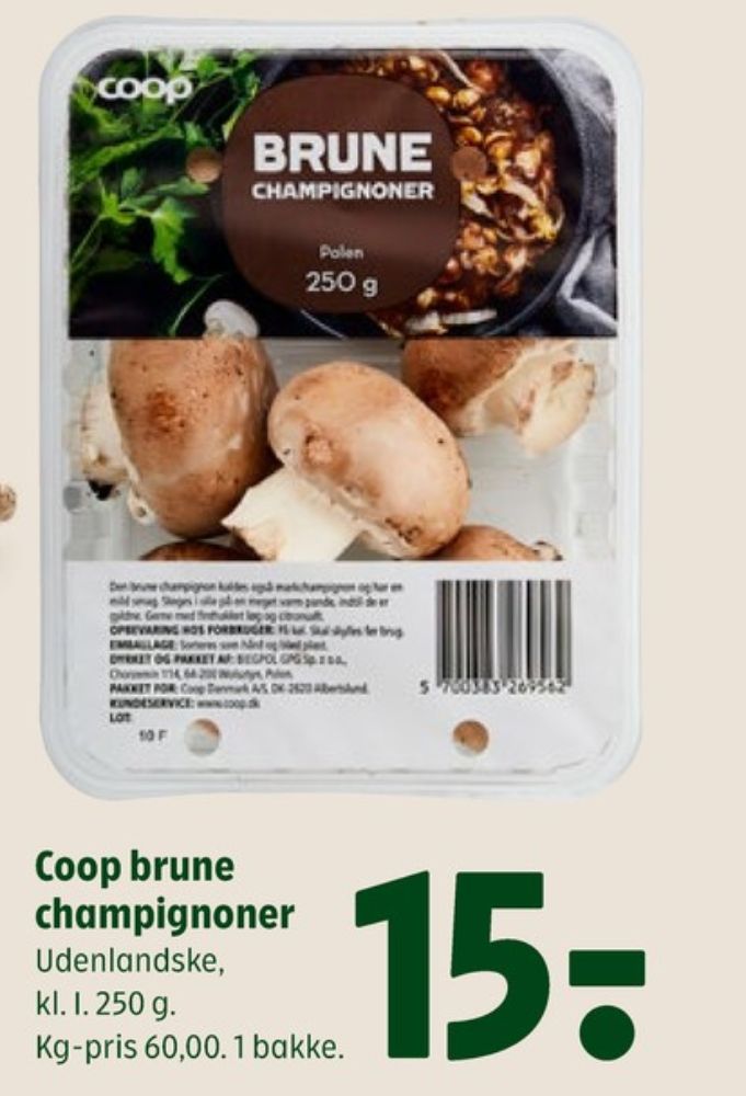 Coop, Champignon