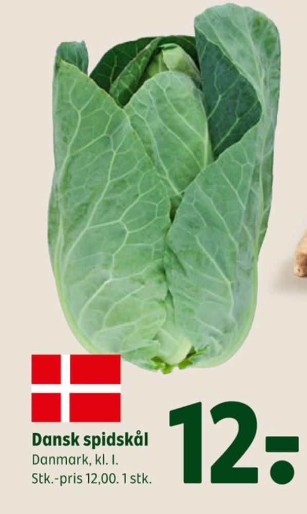 Spidskål
