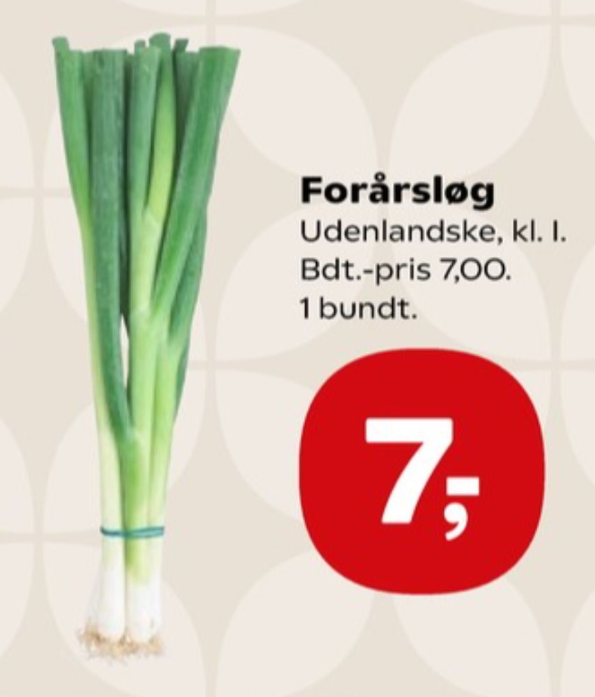 Forårsløg