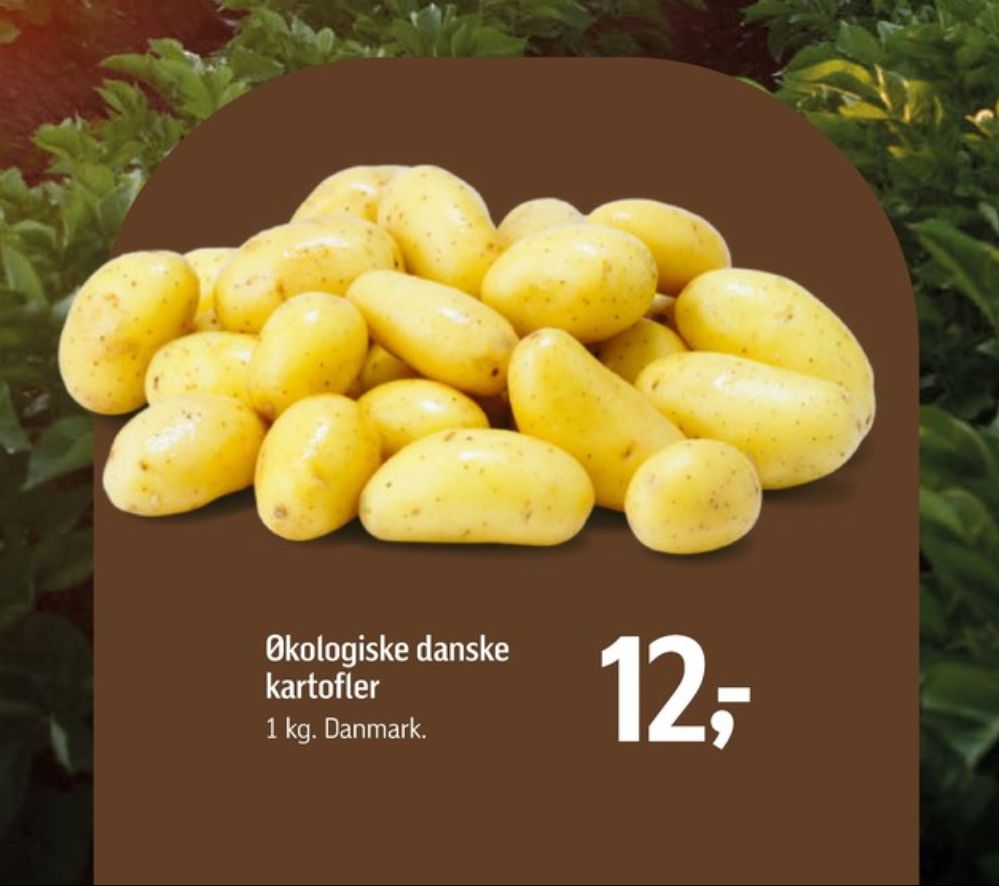 Tjele Gods, Kartofler