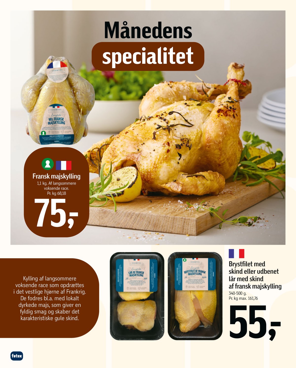 Catalogue page 12
