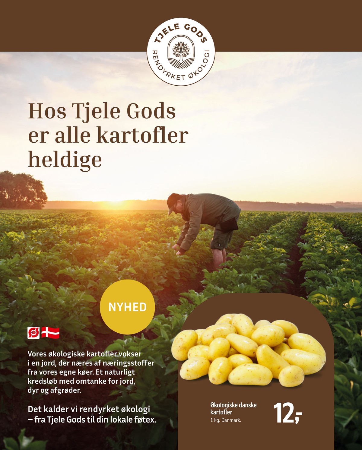 Catalogue page 31