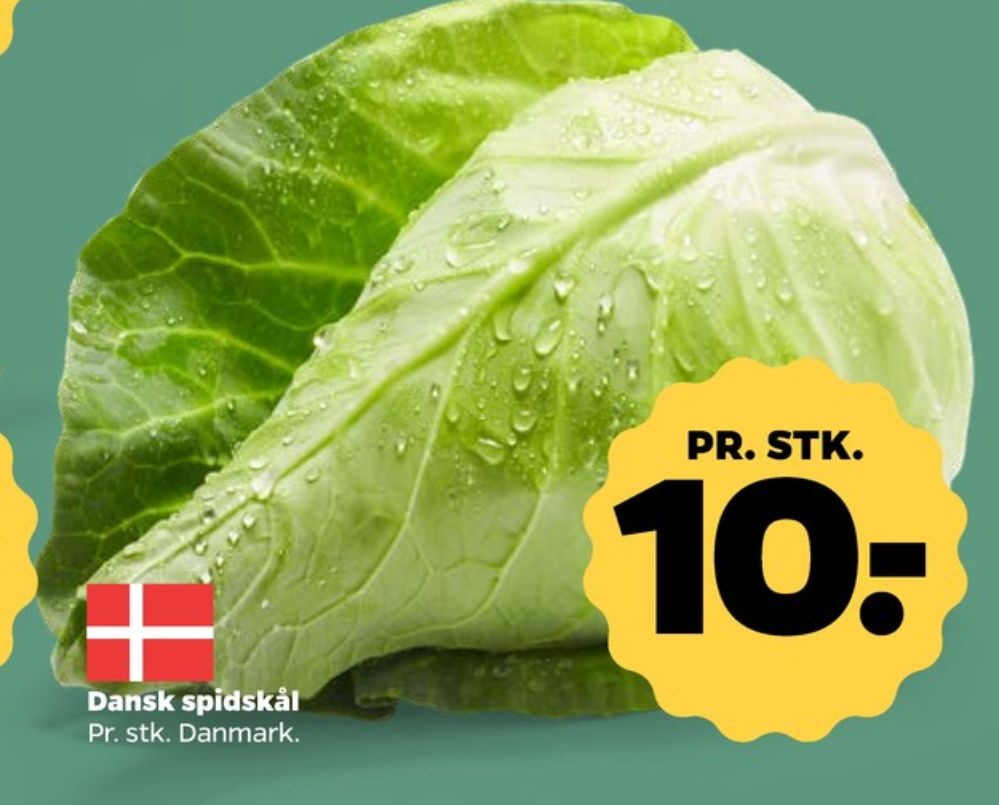 Spidskål