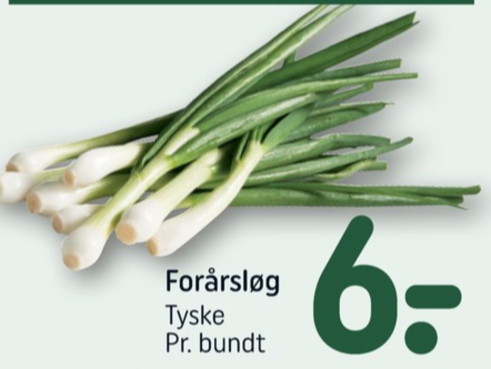 Forårsløg