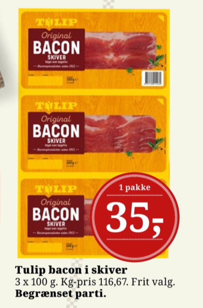 Tulip, Baconskiver