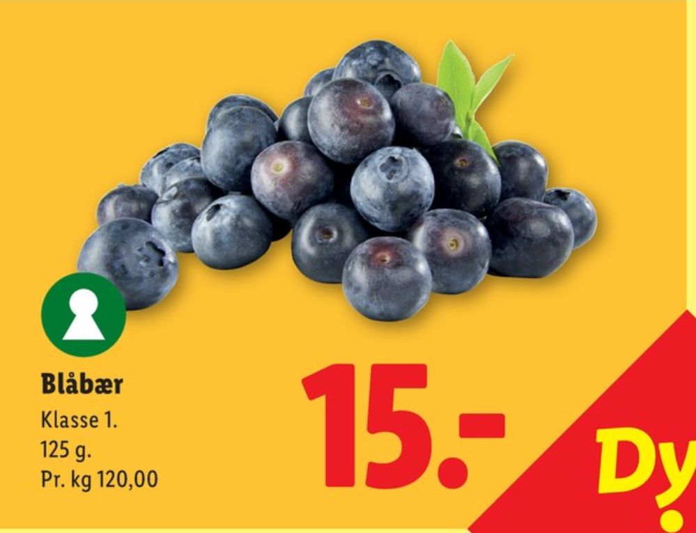 Blåbær