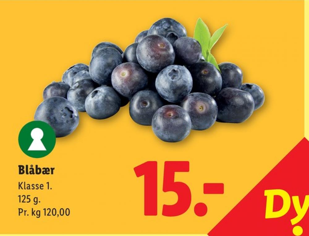Blåbær