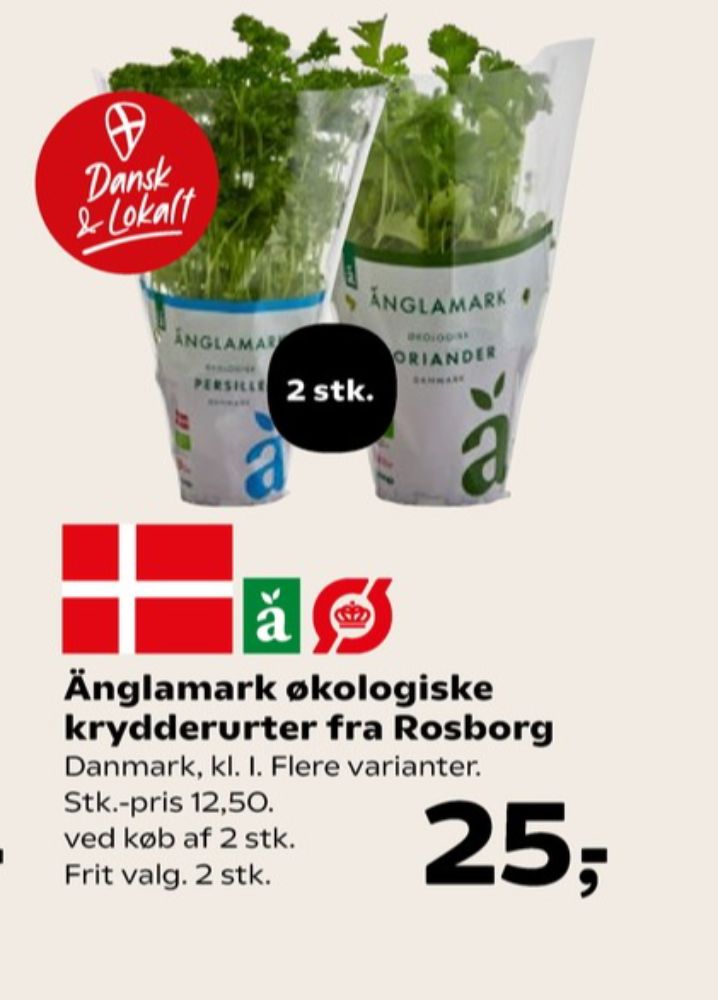 Änglamark, Koriander