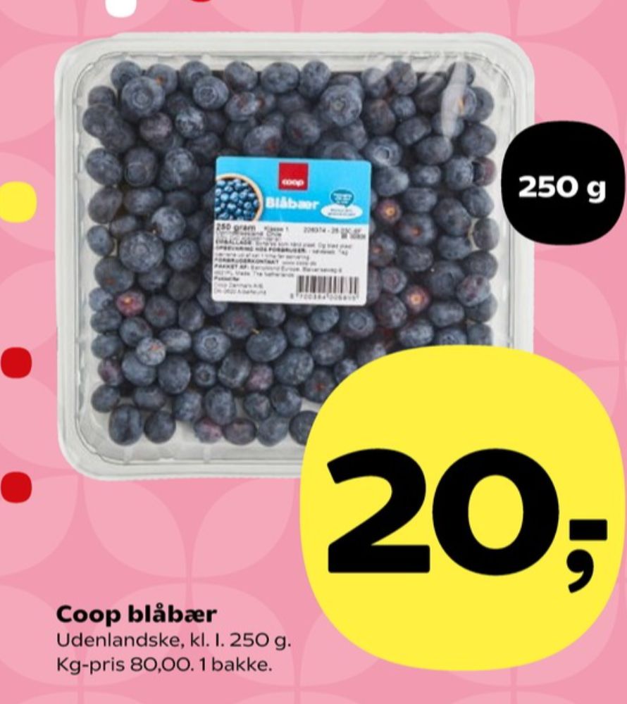 Coop, Blåbær