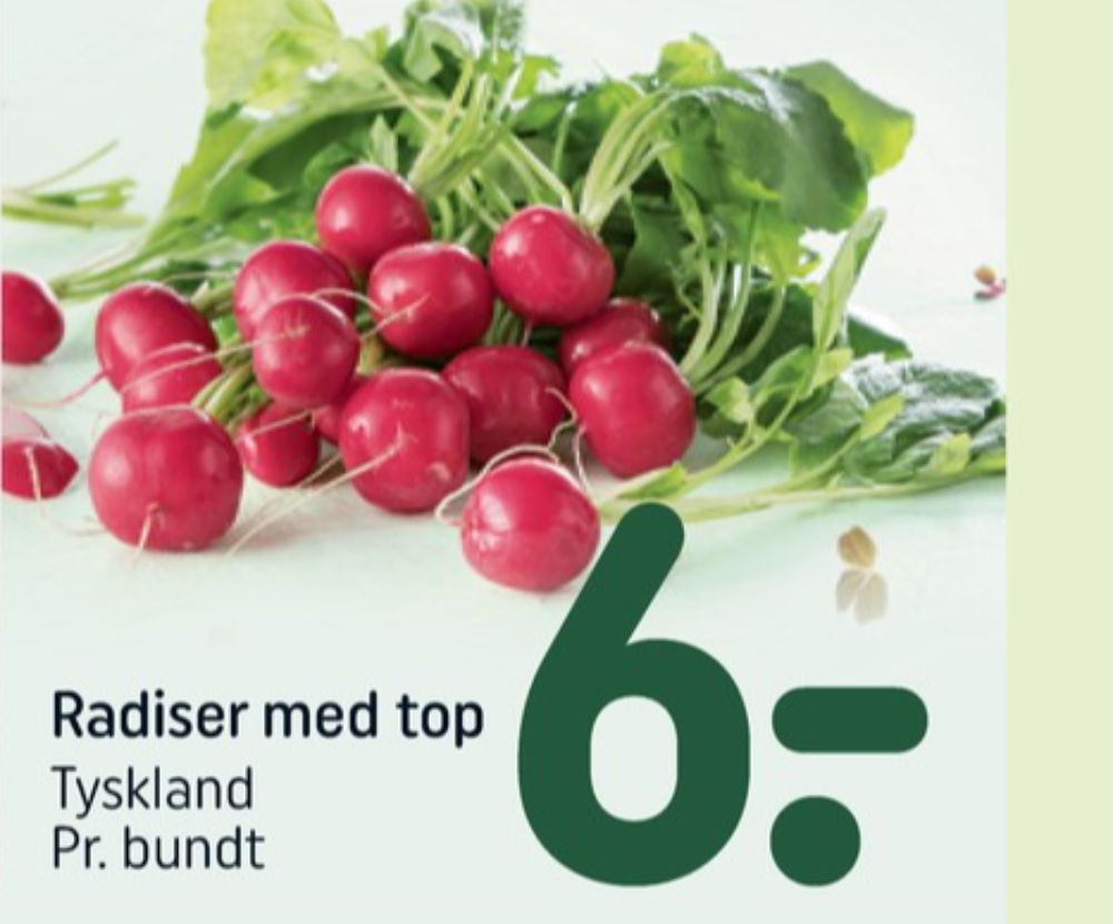 Radiser