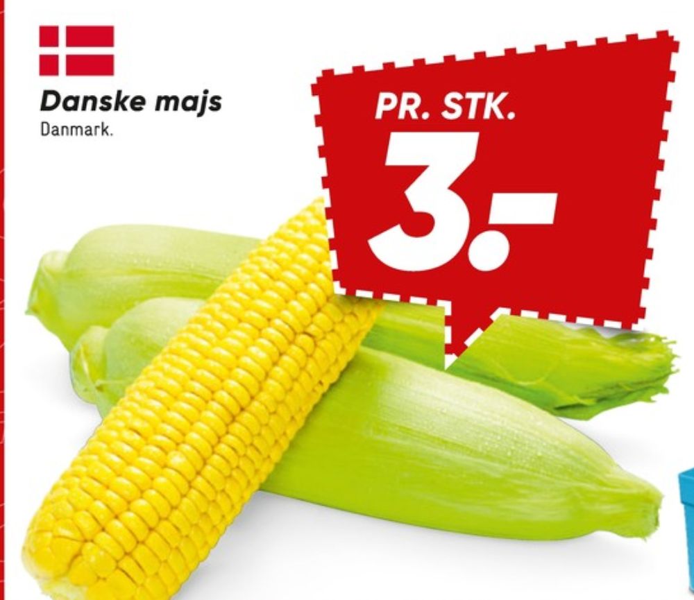 Majskolbe